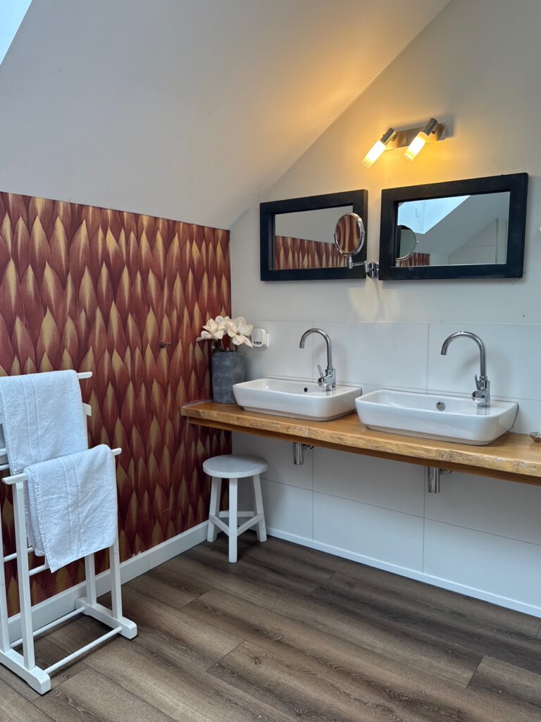 a bathroom with two sinks and mirrors